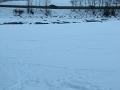 2010-01-23 15-56-38rp_1153
